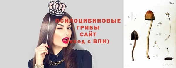 прущий лед Богородск