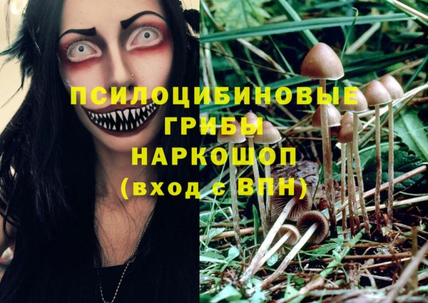 гашишное масло Богданович